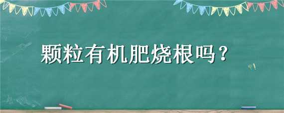 颗粒有机肥烧根吗 有机肥烧根吗?