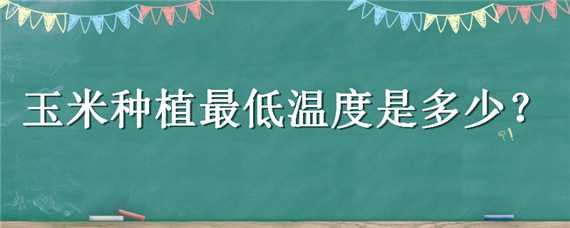 玉米种植最低温度是多少 玉米种植最低温度是多少度