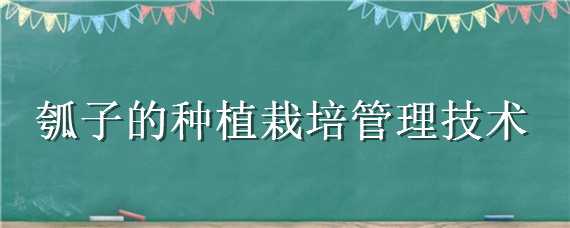 瓠子的种植栽培管理技术（瓠子的种植栽培管理技术和管理）