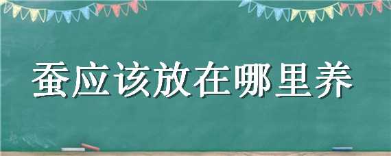 蚕应该放在哪里养 养蚕最好把蚕放在哪里养