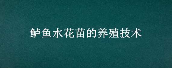 鲈鱼水花苗的养殖技术（鲈鱼水花苗的养殖技术成本）