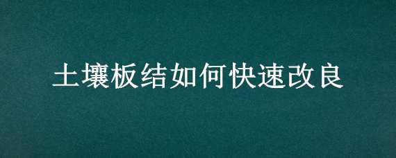 土壤板结如何快速改良（花盆土壤板结如何快速改良）