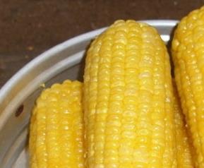 玉米营养成份和玉米减肥的方法（玉米营养成份和玉米减肥的方法有哪些）