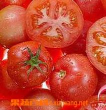 西红柿的营养价值（黑色西红柿的营养价值）