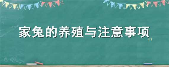 家兔的养殖与注意事项 家兔的养殖与注意事项有哪些