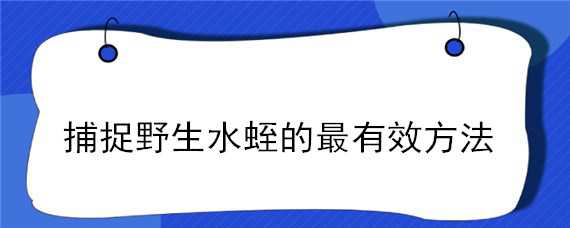 捕捉野生水蛭的最有效方法 怎样诱捕野生水蛭