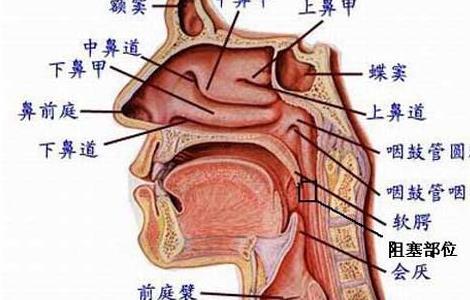 打鼾的原因及危害有哪些 打鼾的原因和危害是什么