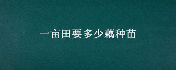 一亩田要多少藕种苗 一亩田能种多少藕