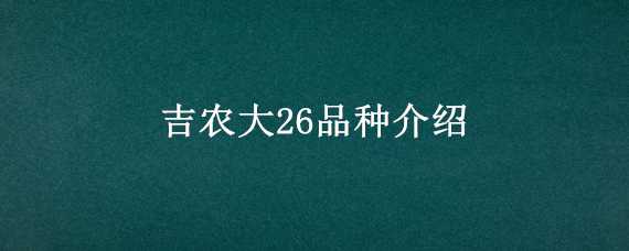 吉农大26品种介绍（吉农大156水稻种子品种简介）