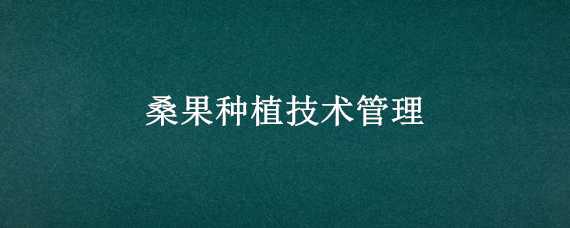 桑果种植技术管理 桑果的种植技术