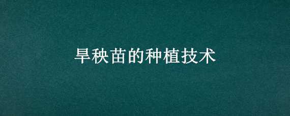 旱秧苗的种植技术 旱秧苗的种植技术视频