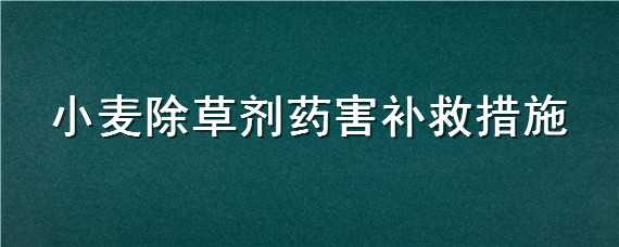 小麦除草剂药害补救措施（小麦除草剂药害怎么补救）