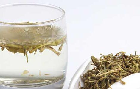 金银花茶的功效与作用 金银花茶的功效与作用及禁忌