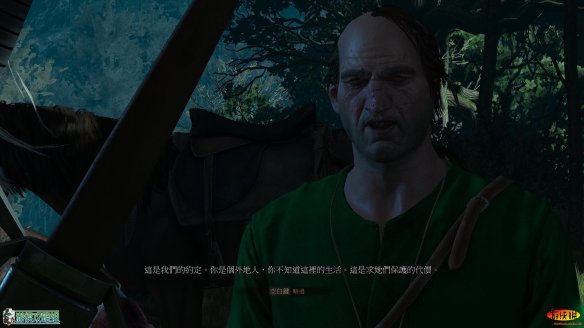 《巫师3：狂猎》强档攻略