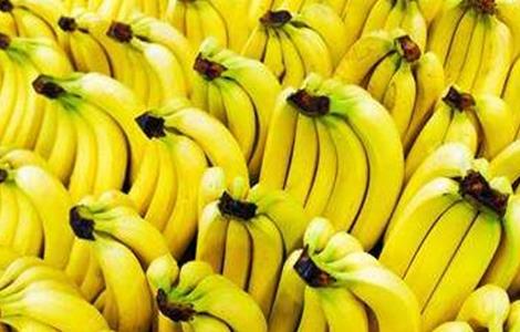香蕉高产种植技术（香蕉高产栽培技术）