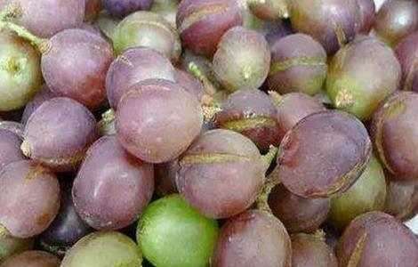 葡萄该如何补钙 葡萄该如何补钙最好
