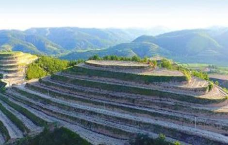 山地苹果园灌溉技术（山地果园灌溉系统）