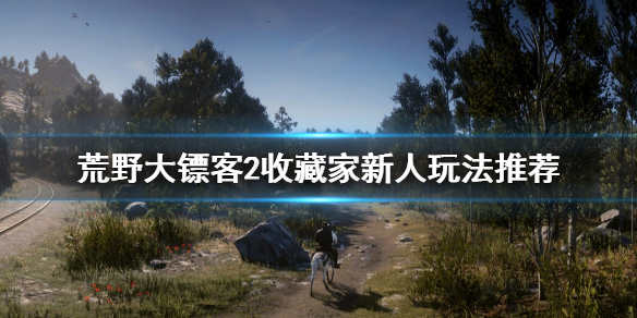 荒野大镖客2收藏家怎么上手 荒野大镖客2收藏家新手