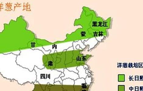 洋葱产地有哪些地方 洋葱原产地是什么地方