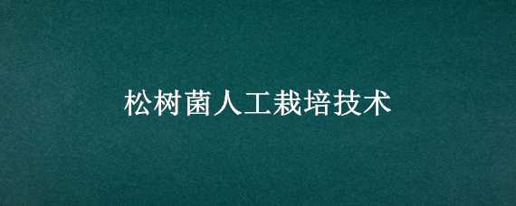 松树菌人工栽培技术（松树菌的栽培技术）