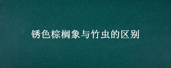 锈色棕榈象与竹虫的区别 锈色棕榈象是竹虫吗