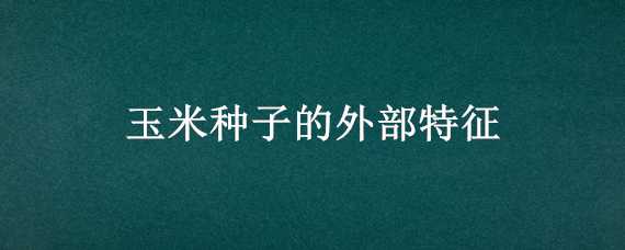 玉米种子的外部特征 玉米种子的外部特征有哪些