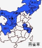 北重楼（北重楼和七叶一枝花的区别）