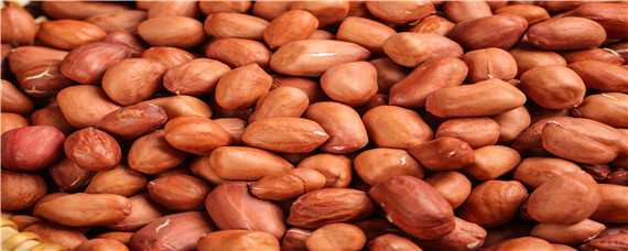 花生的种植方法及时间 花生的种植方法及时间介绍