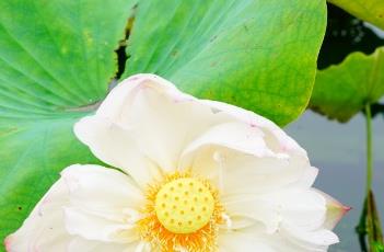 骄阳醉舞 舞动骄阳舞蹈