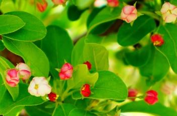 灰姑娘（灰姑娘歌词）