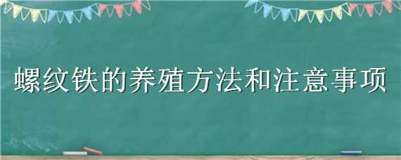 螺纹铁的养殖方法和注意事项 螺纹铁的养殖方法和注意事项螺纹铁太高剪断头图片