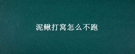 泥鳅打窝怎么不跑 泥鳅怎么打窝怎么不跑