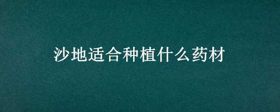 沙地适合种植什么药材（沙石地适合种什么药材）