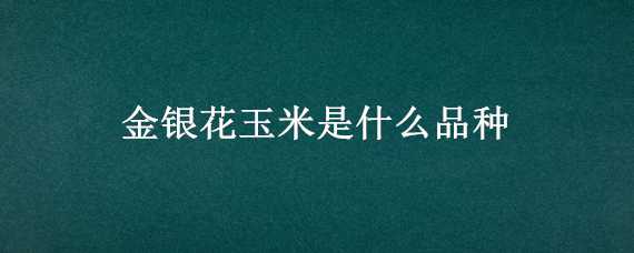 金银花玉米是什么品种 金银花玉米图片