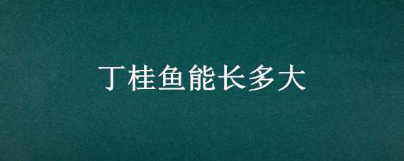 丁桂鱼能长多大 丁桂鱼一年长多重