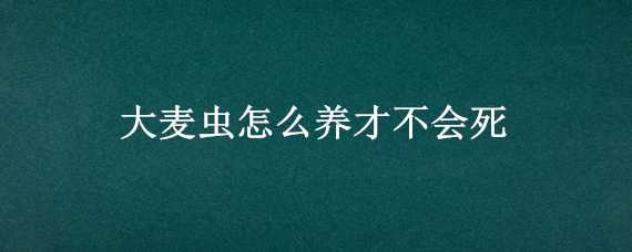 大麦虫怎么养才不会死 大麦虫能养多久