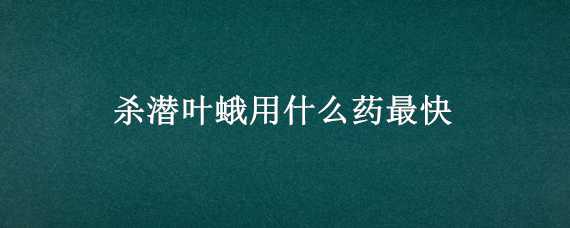 杀潜叶蛾用什么药最快（杀潜叶蛾用什么药最快有效）