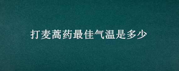 打麦蒿药最佳气温是多少 什么时候打麦蒿最好