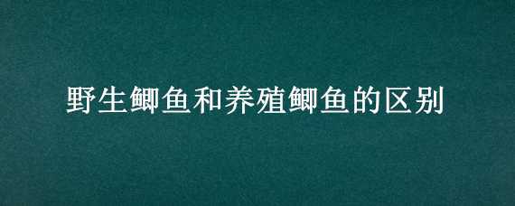 野生鲫鱼和养殖鲫鱼的区别 野生鲫鱼和养殖鲫鱼的区别在哪里