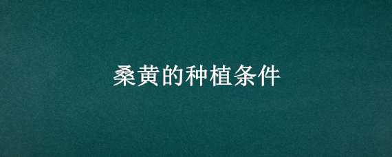 桑黄的种植条件 桑黄的种植要求