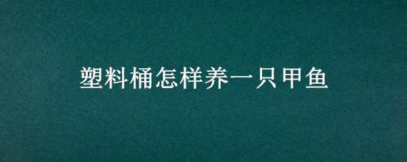 塑料桶怎样养一只甲鱼 塑料桶怎样养一只甲鱼视频