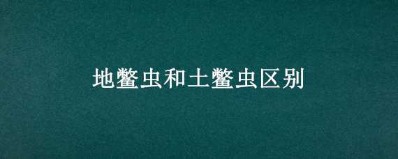 地鳖虫和土鳖虫区别 地鳖虫和土鳖虫区别在哪