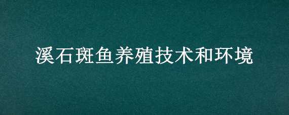 溪石斑鱼养殖技术和环境 溪石斑鱼养殖技术和环境保护