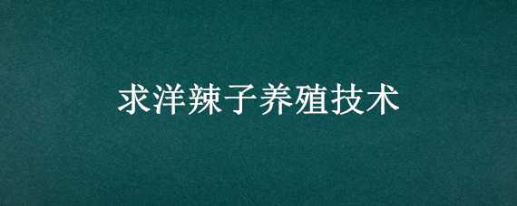 求洋辣子养殖技术（洋辣子孵化）