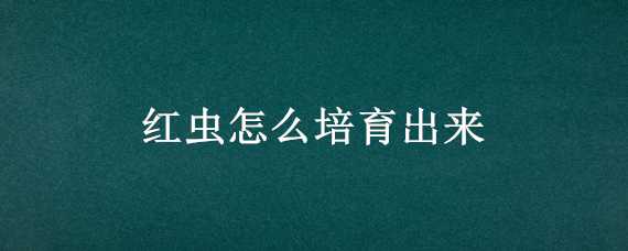 红虫怎么培育出来 红虫怎么培育出来的图片