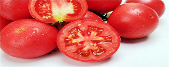 西红柿的栽培种植技术 西红柿的栽培种植技术 不需种子!