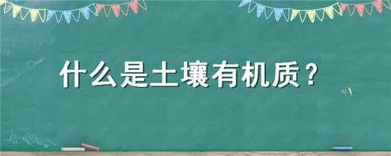 什么是土壤有机质（什么是土壤有机质的矿质化过程）