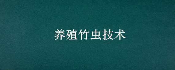 养殖竹虫技术（养殖竹虫技术视频）