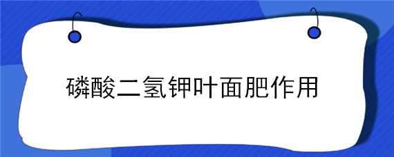 磷酸二氢钾叶面肥作用（磷酸二氢钾叶面肥作用多久喷一次）