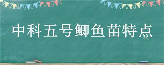 中科五号鲫鱼苗特点（中科5号鲫鱼养殖技术）